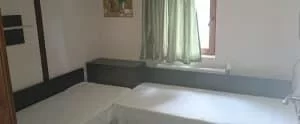 Стая в Копривщица