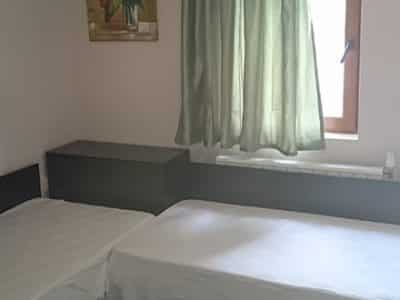 Стая в Копривщица